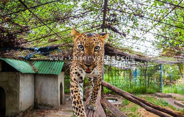Zoo Plantation of Nhim Vanda | សួនសត្វ សូនដំណាំ ញឹម វណ្ណដា