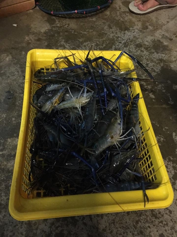 Golden Ocean Shrimp Fishing Leisure Restaurant | ស្ទូចបង្កងសមុទ្រមាស