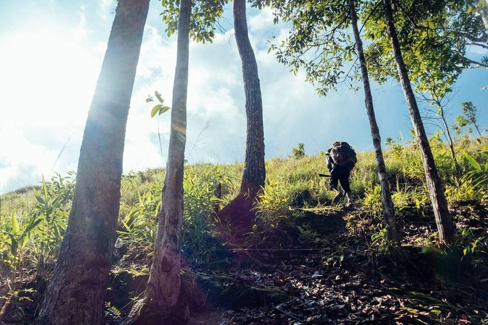 Virachey National Park | ឧទ្យានជាតិវីរៈជ័យ
