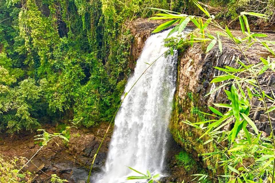Dakdam Waterfall | ទឹកធ្លាក់ដាក់ដាំ
