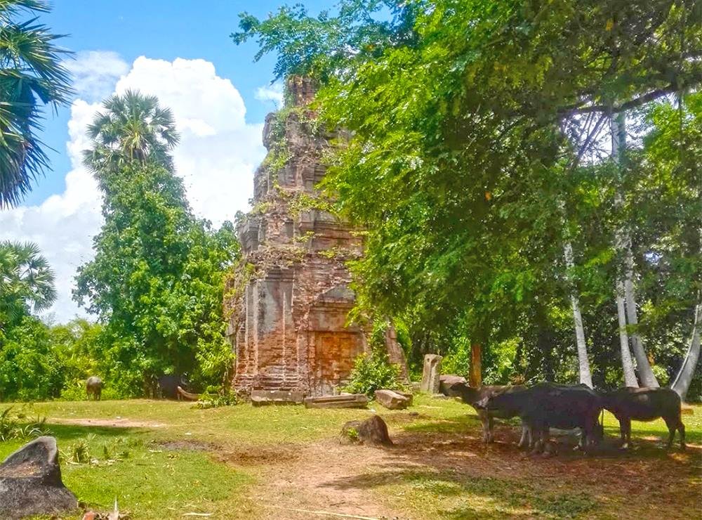 West Tnaot Choum Temple | ប្រាសាទត្នោតជុំខាងលិច