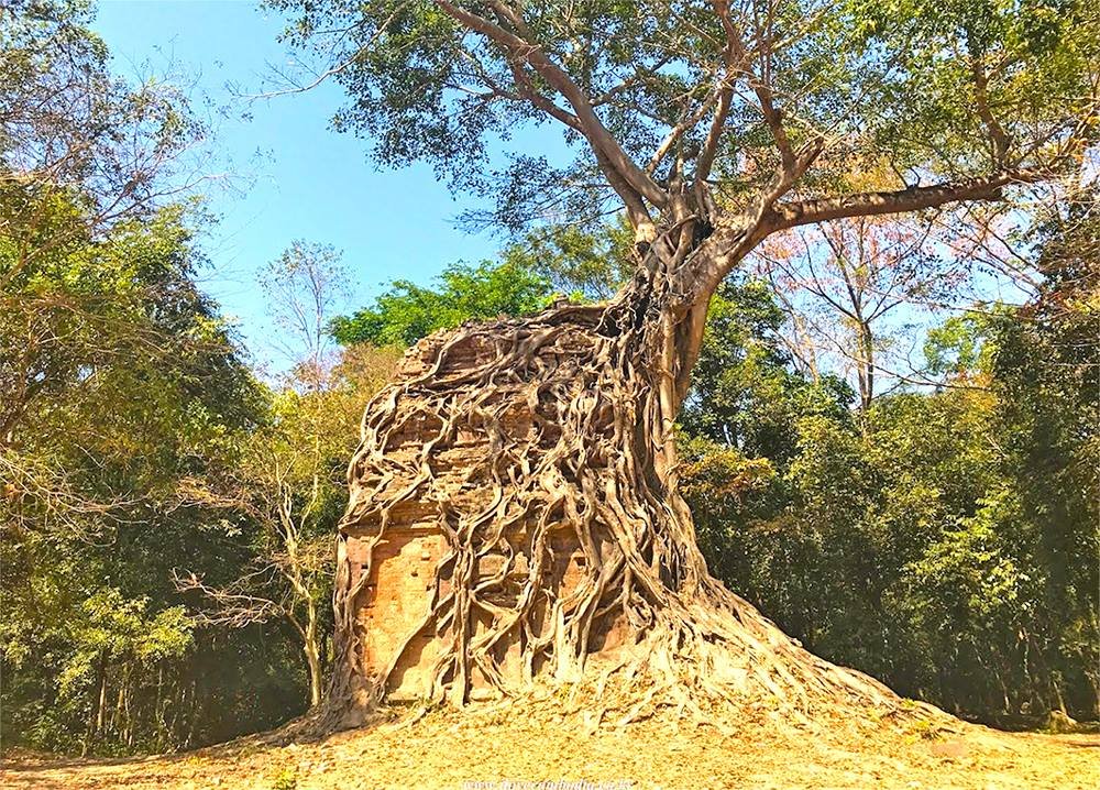 Daem Chrei Temple | ប្រាសាទដើមជ្រៃ