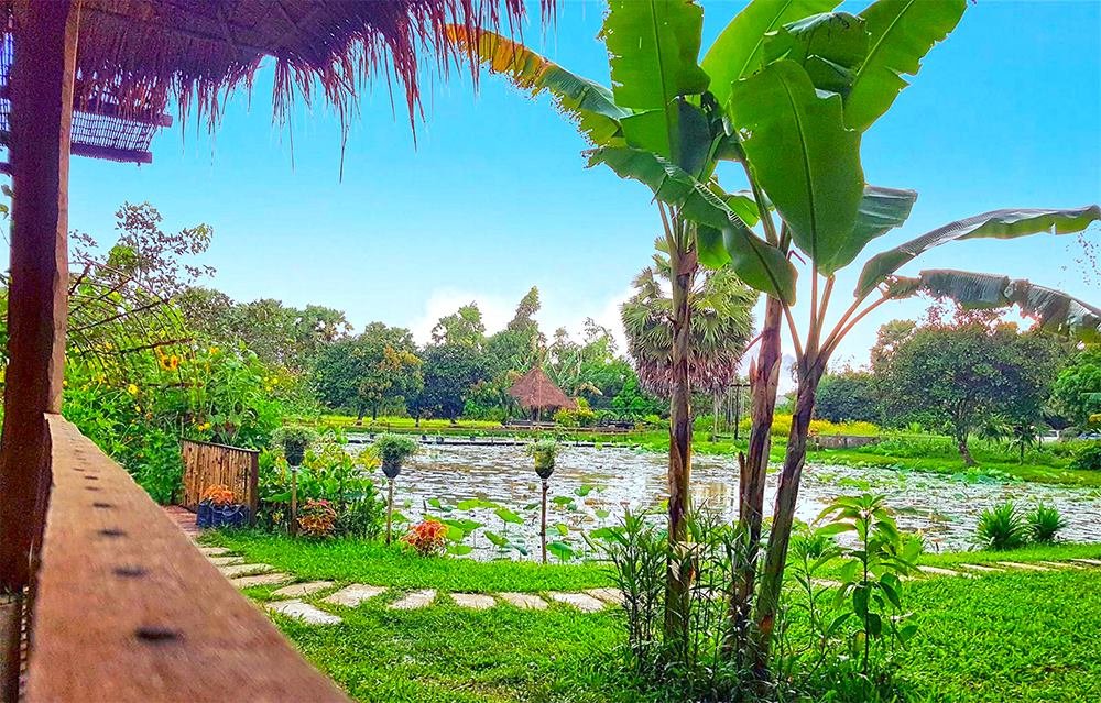 Mlob Baitong | ម្លប់បៃតង