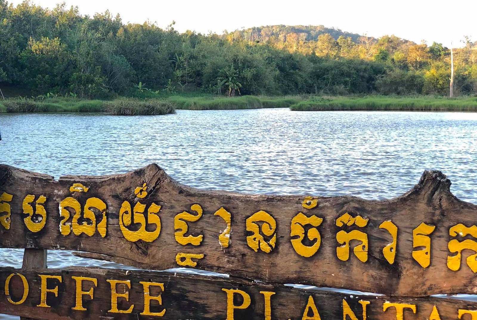 Coffee Plantation Resort | ចំការកាហ្វេ មណ្ឌលគិរី