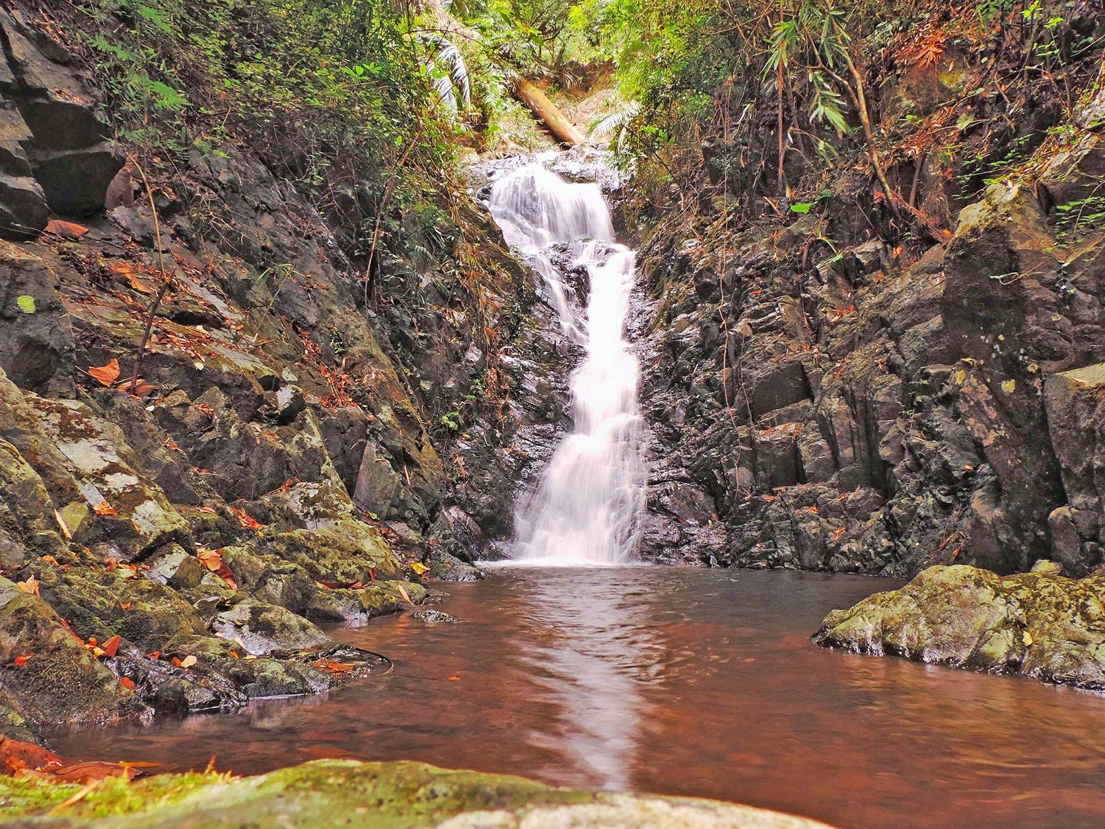 Elephant Head Waterfall | ទឹកធ្លាក់ក្បាលដំរី