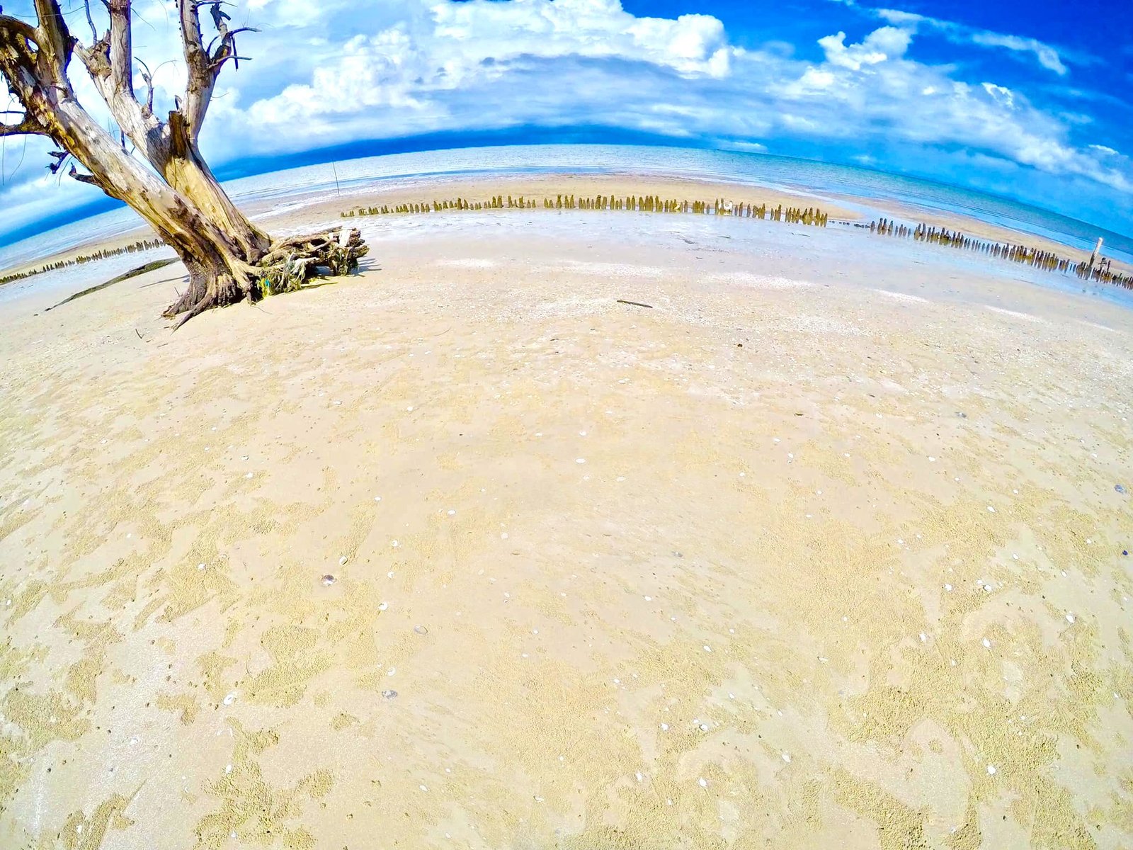 Bak Klorng Beach | ឆ្នេរប៉ាក់ខ្លង