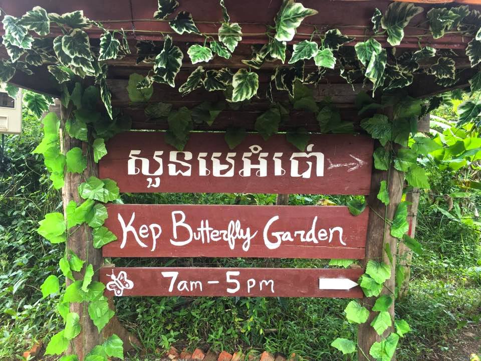 Kep Butterfly Garden | សួនមេអំបៅកែប