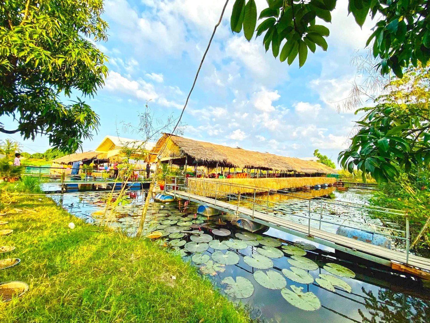 Boeng Chhouk Thmey | បឹងឈូកថ្មី