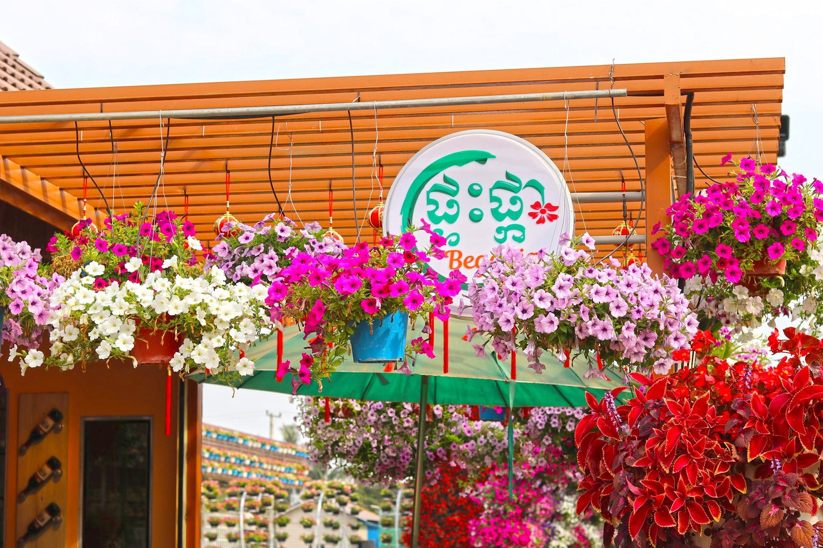 House of Flowers Banan | ផ្ទះផ្កាបាណន់