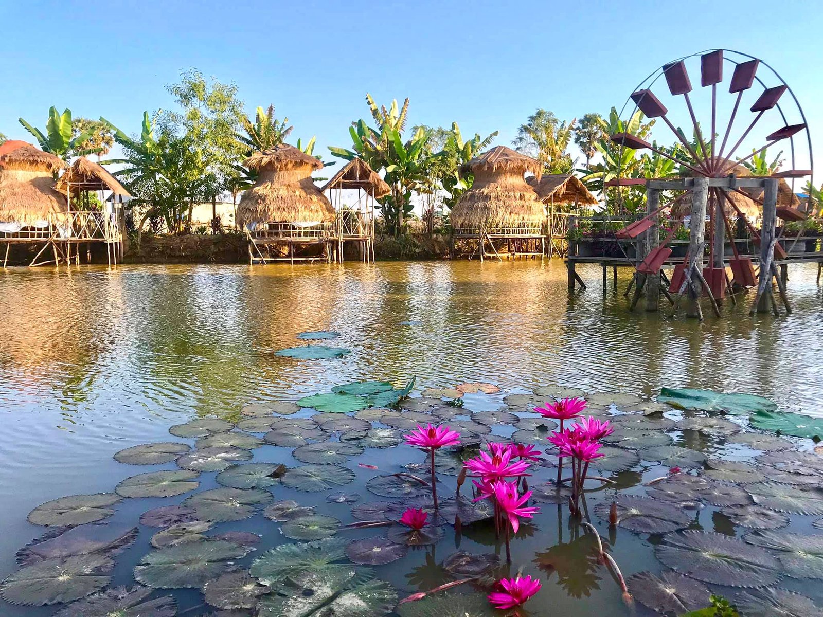 Farmer Park Siem Reap | សួនអ្នកស្រែ