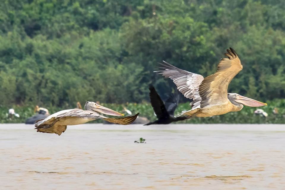 Agro Tourism Cambodia | ភូមិកសិទេសចរណ៍ កម្ពុជា