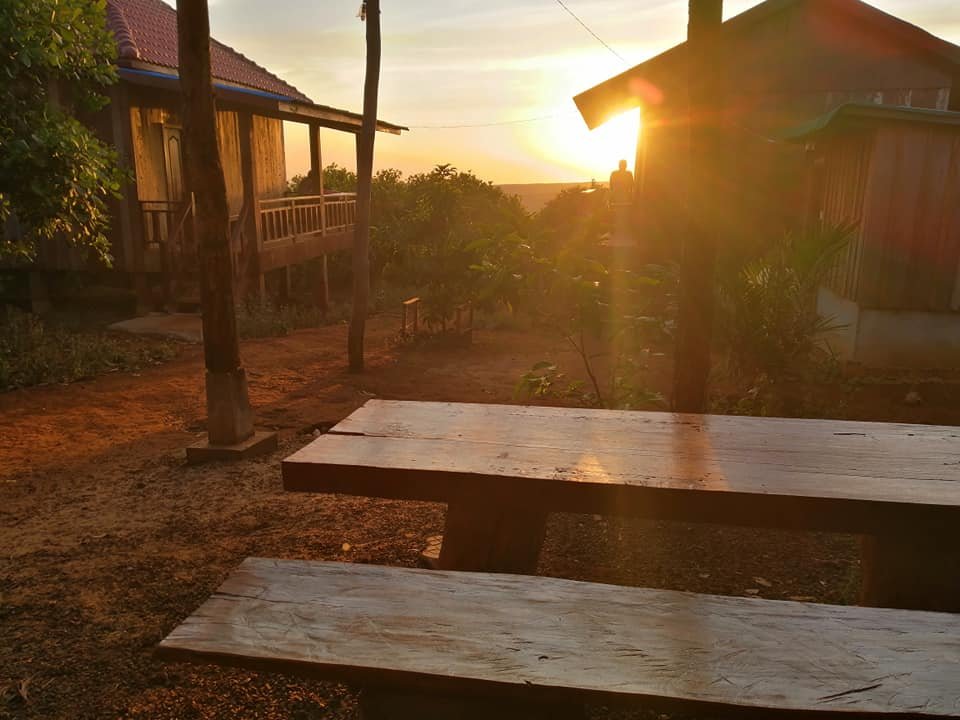Tree Trails Travel Lodge | Tree Trails Travel Lodge