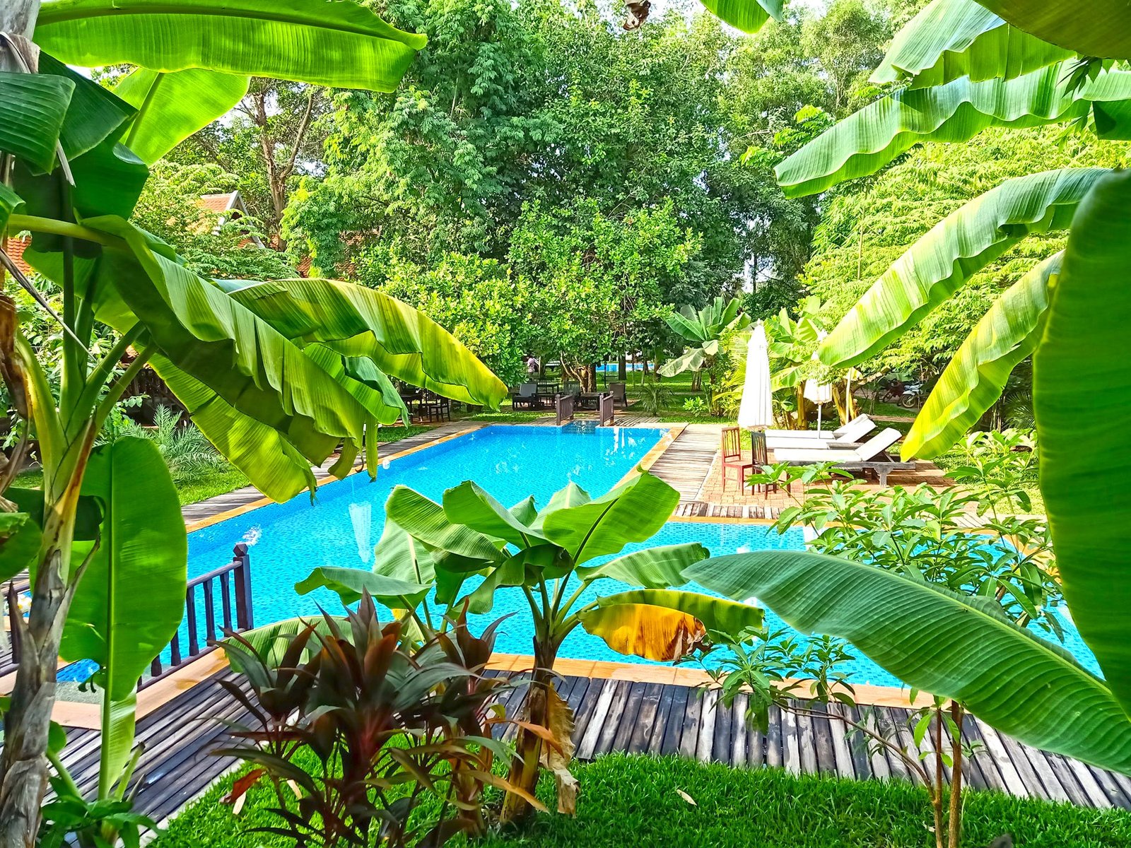 Angkor Heart Bungalow | អង្គរហាត បឹងហ្គាឡូ