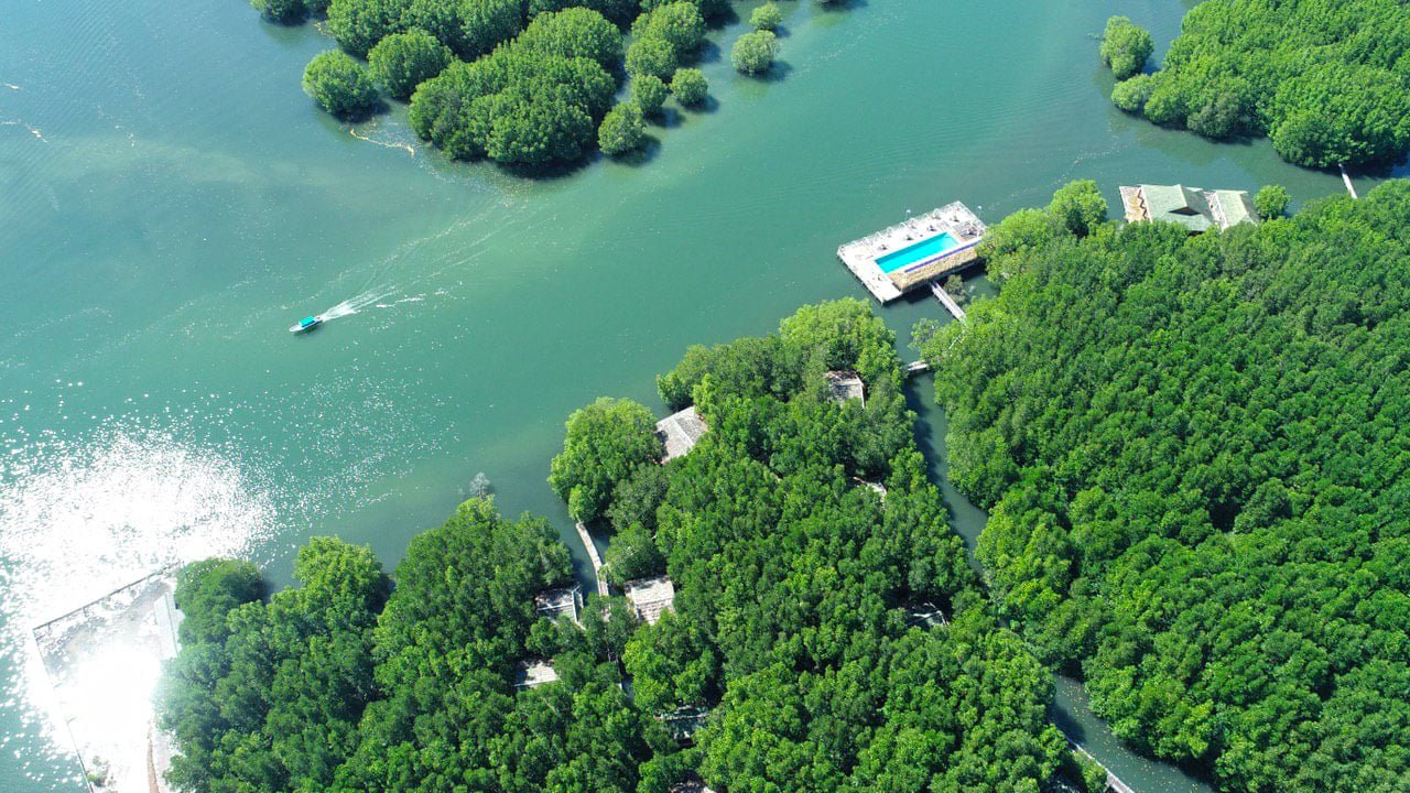 Mangrove Sanctuary Resort | Mangrove Sanctuary Resort