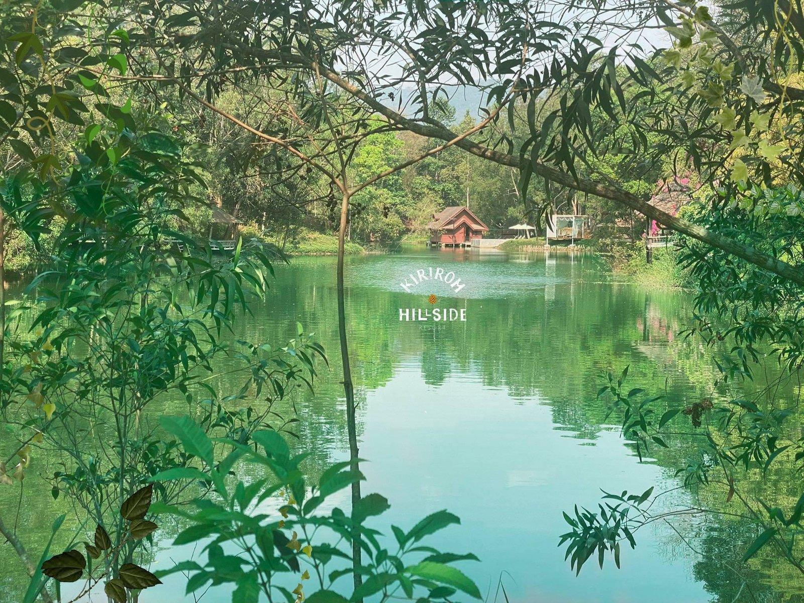 Kirirom Hillside Resort | គិរីរម្យ ហុីលសាយ រីសត