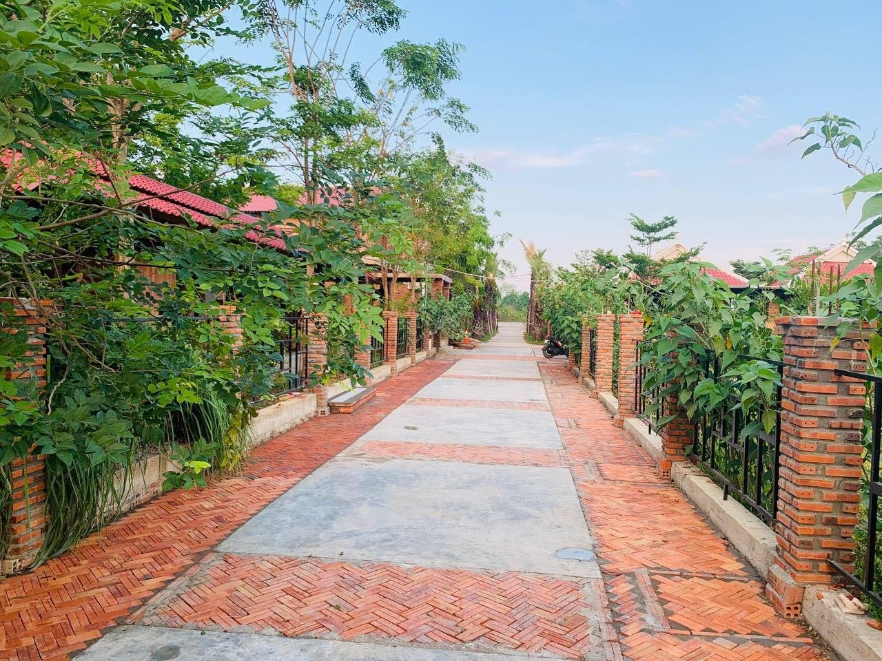 Bat Rice Resort | បេតរាយ៍ រីសត