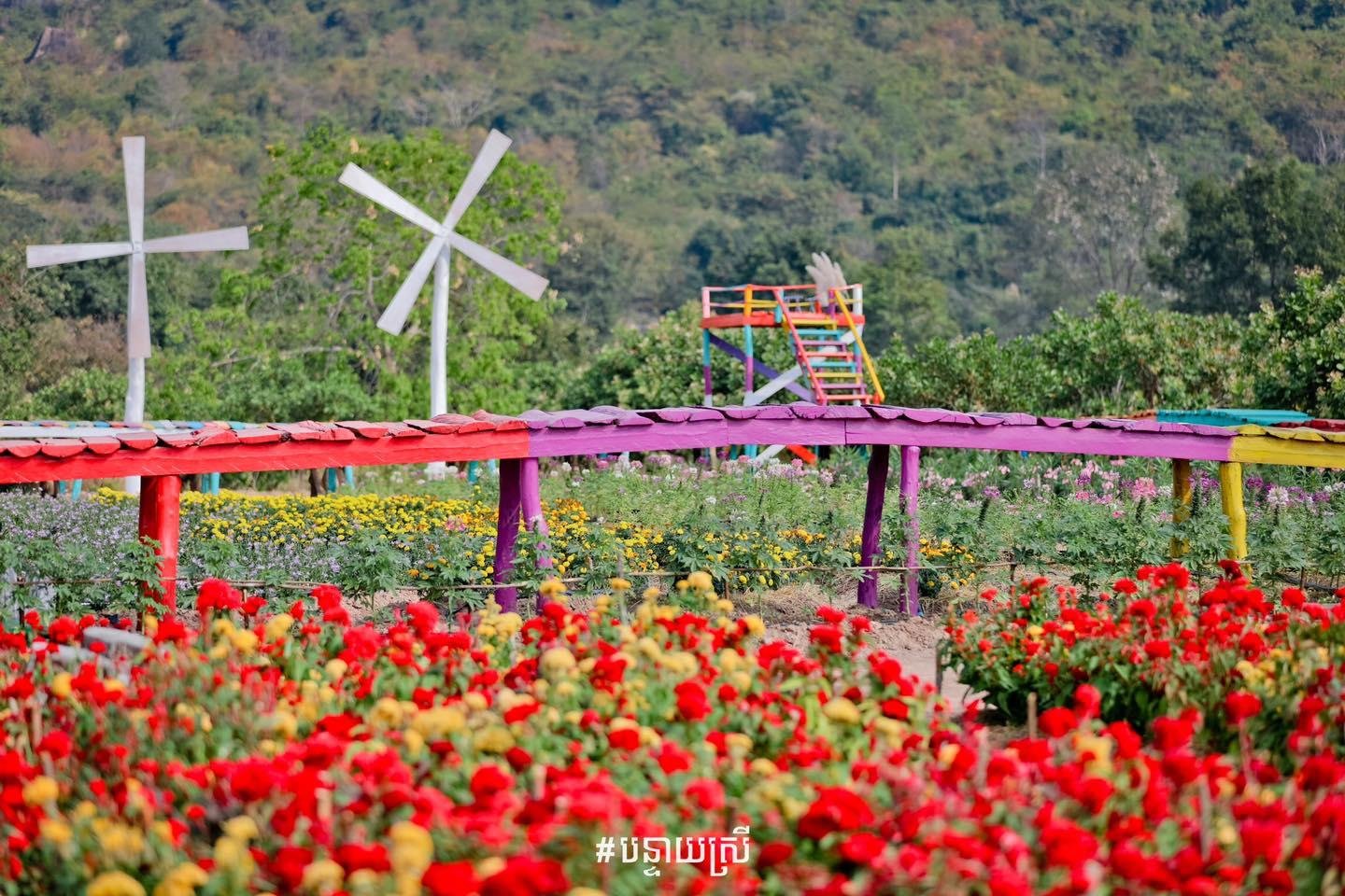 Soun Kraaub Khoun Ream | សួនក្រអូប ឃុនរាម បន្ទាយស្រី