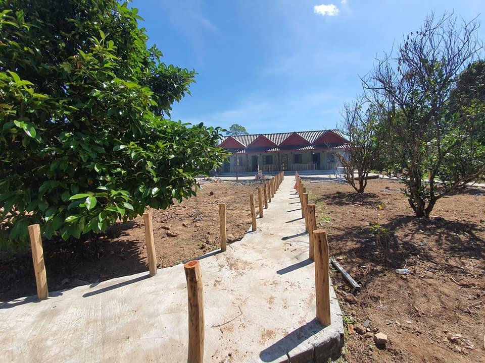 Tree Bungalow | ទ្រីបឹងហ្គាឡូ