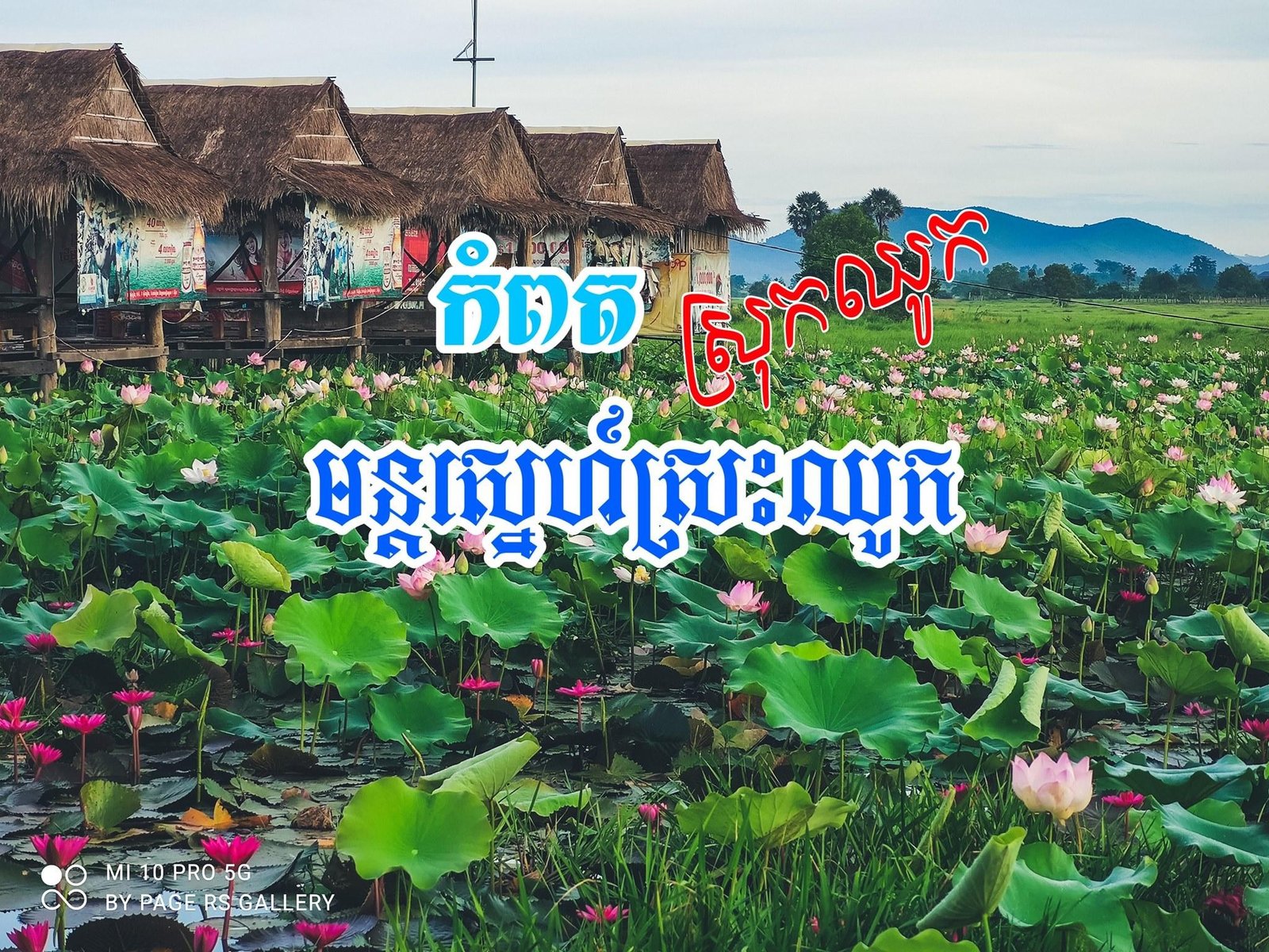 Mun Sne Srash Chhouk | មន្តស្នេហ៍ស្រះឈូក