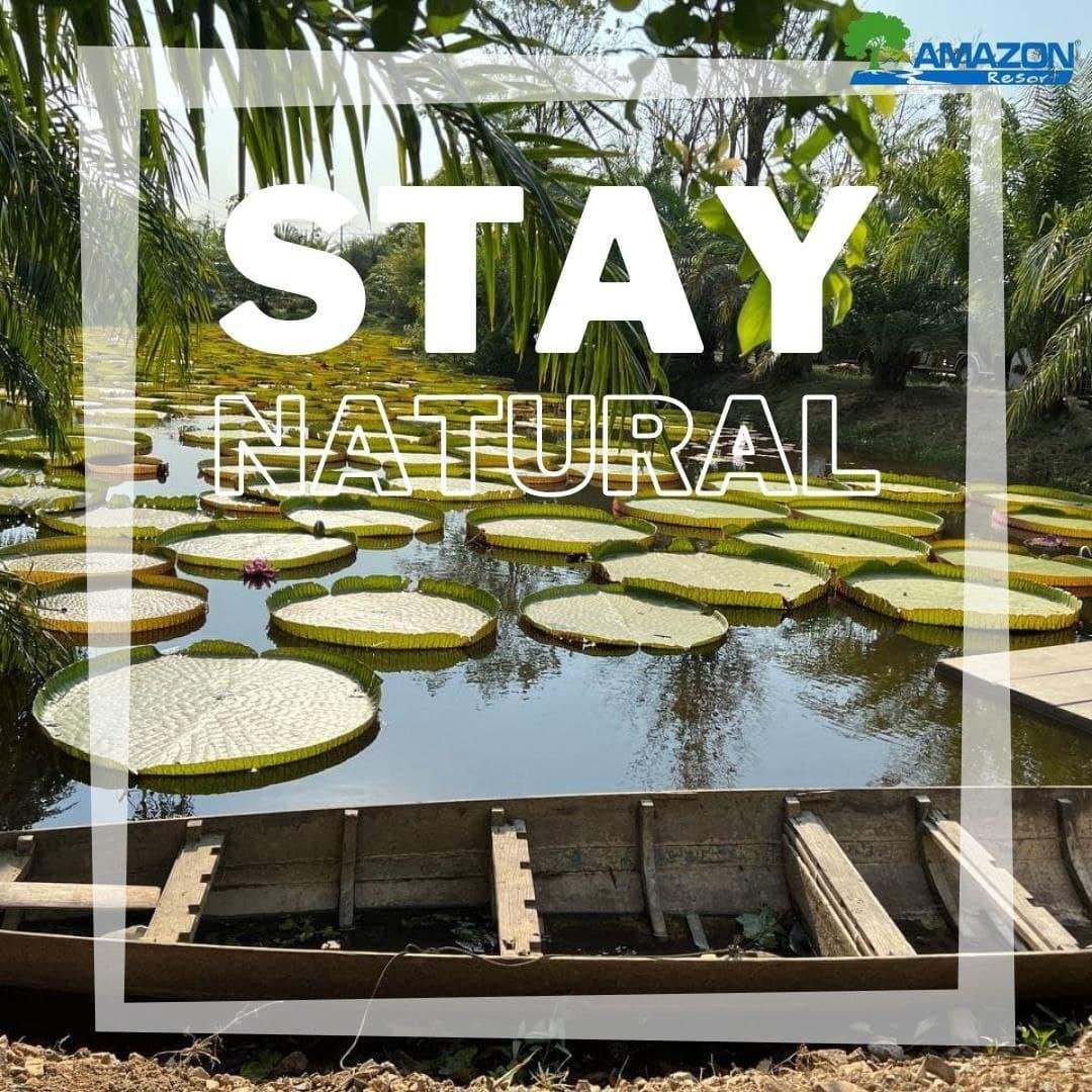Amazon Resort | អាម៉ាសូន្យ រីសត