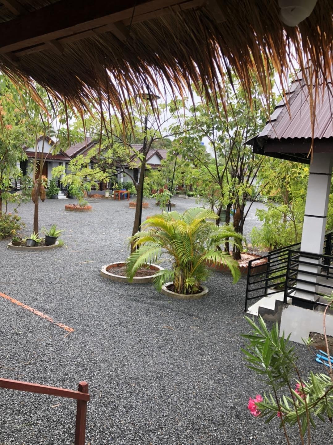 Treuy Koh Bungalow | ត្រើយកោះ បឹងហ្គាឡូ