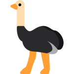 Seeing ostrich | មើលសត្វអូទ្រីស