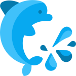Seeing dolphin | ដើរមើលសត្វផ្សោត