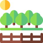 Gardens | សួនច្បារ
